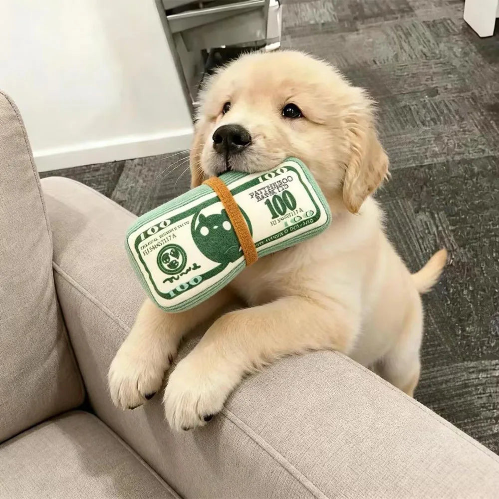 CashChomp Squeaky Money Toy – Durable Dog Chew Toy | Bite-Resistant Plush Squeaker | Interactive Training Toy for Dogs & Cats