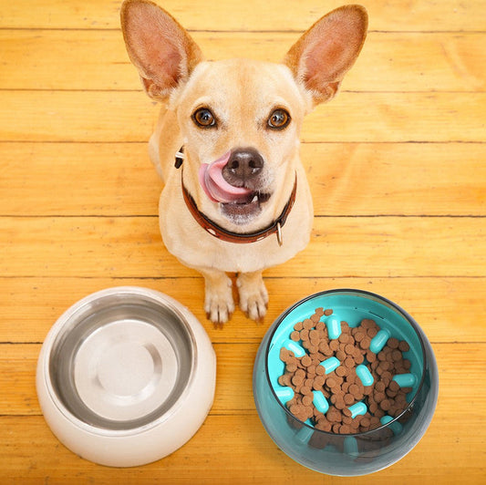 Slow Feeder Bowl