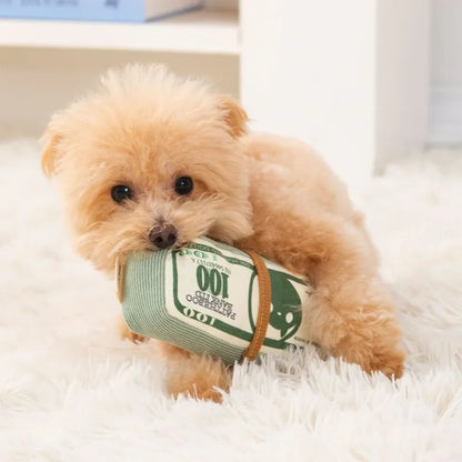 CashChomp Squeaky Money Toy – Durable Dog Chew Toy | Bite-Resistant Plush Squeaker | Interactive Training Toy for Dogs & Cats