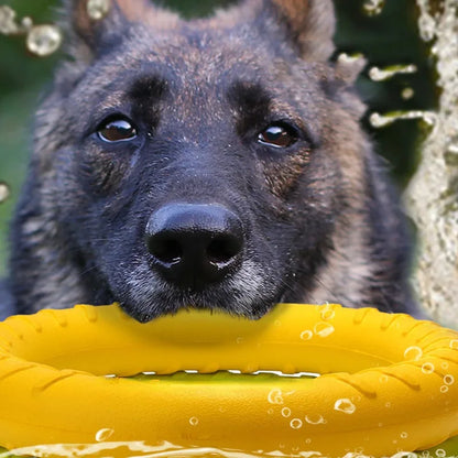AeroFetch EVA Flying Ring – Floating Dog Frisbee Toy | Durable Bite-Resistant Training Disc | Interactive Outdoor Fetch Toy