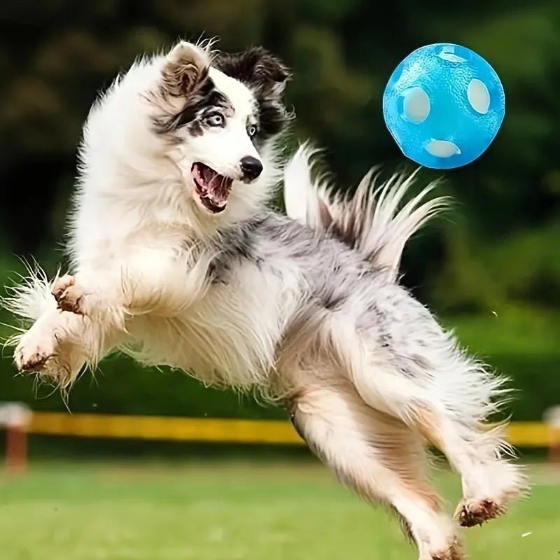 AquaBounce Floating Dog Ball – TPR Water Fetch Toy | Interactive Floating Ball | Durable Chase & Swimming Toy for Dogs