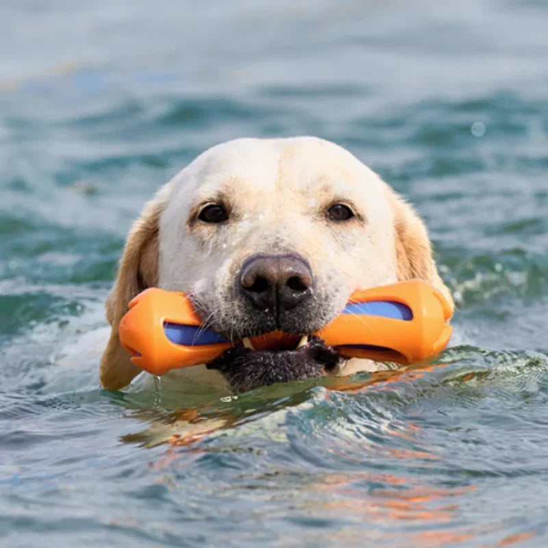 HydroFetch Floating Stick Toy – TPR Dog Fetch Stick | Bite-Resistant Water Chew Toy | Interactive Swimming & Training Toy