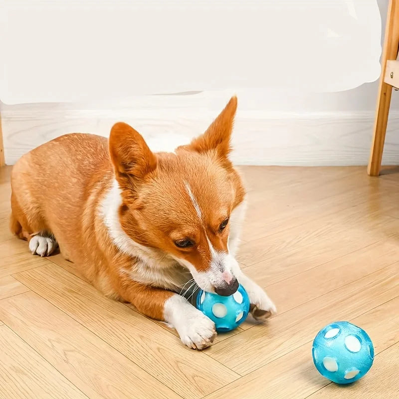 AquaBounce Floating Dog Ball – TPR Water Fetch Toy | Interactive Floating Ball | Durable Chase & Swimming Toy for Dogs