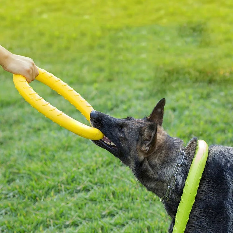 AeroFetch EVA Flying Ring – Floating Dog Frisbee Toy | Durable Bite-Resistant Training Disc | Interactive Outdoor Fetch Toy