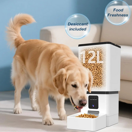 Smart Dog Feeder