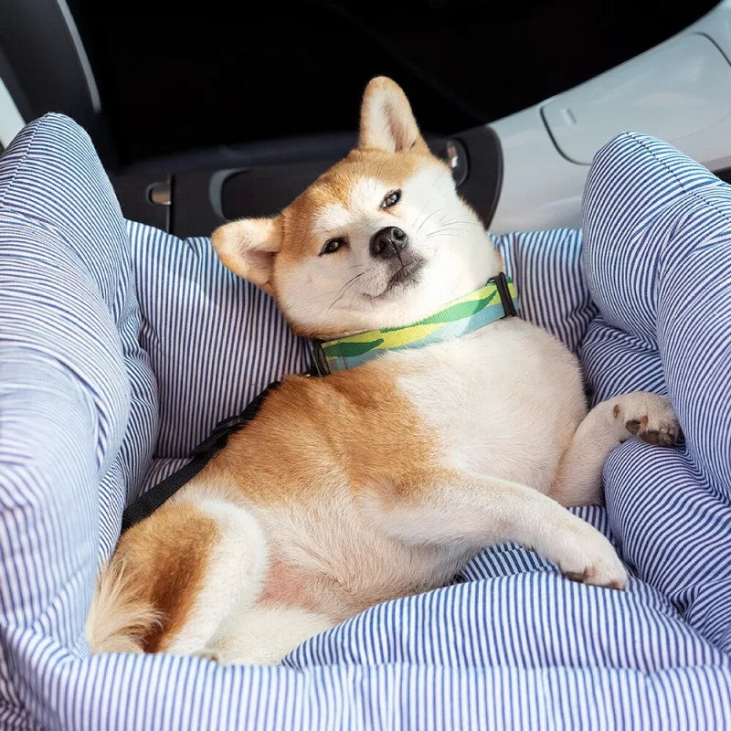 ComfortCruise Pet Car Seat Bed – Washable Dog Travel Bed | Breathable Booster Kennel | Secure Car Seat for Dogs & Cats