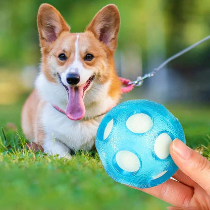 AquaBounce Floating Dog Ball – TPR Water Fetch Toy | Interactive Floating Ball | Durable Chase & Swimming Toy for Dogs