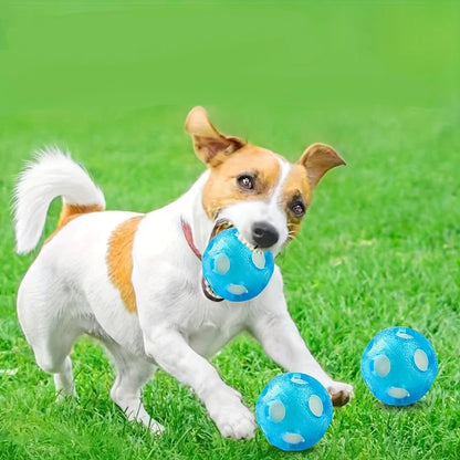 AquaBounce Floating Dog Ball – TPR Water Fetch Toy | Interactive Floating Ball | Durable Chase & Swimming Toy for Dogs